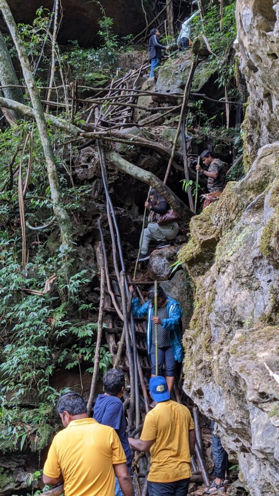 Into the Wild – My 1st Ever Solo Jungle Trek